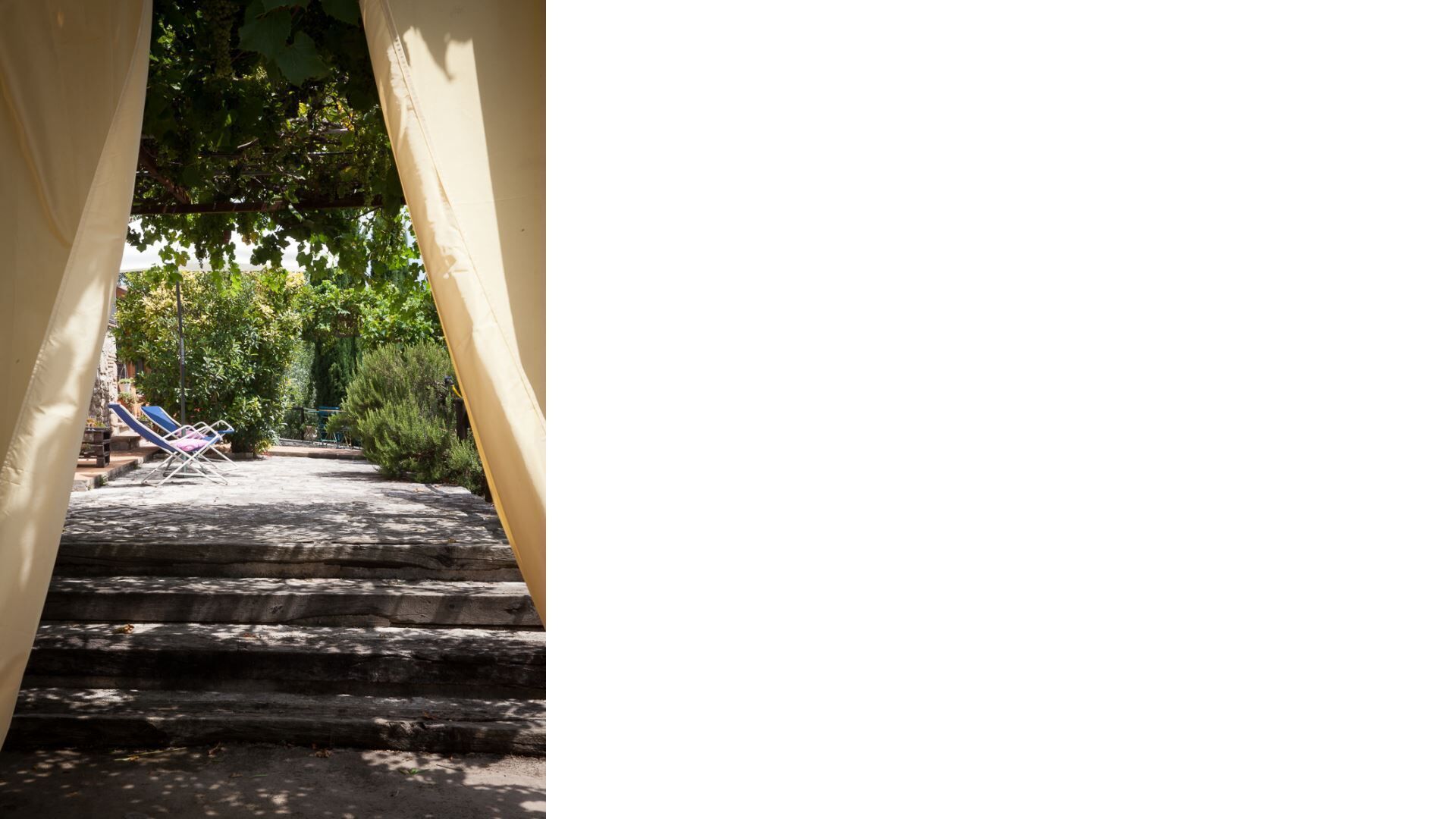 L'ulivo secolare, Exclusive and pacefull Property in Umbria Massa Martana