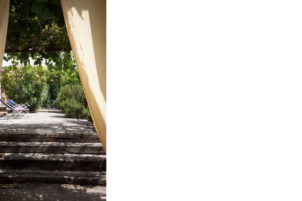 L'ulivo secolare, Exclusive and pacefull Property in Umbria Massa Martana