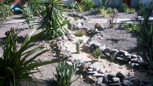 Un jardin agrémenté de diverses plantes et de rochers, un sentier et un bâtiment blanc en arrière-plan.