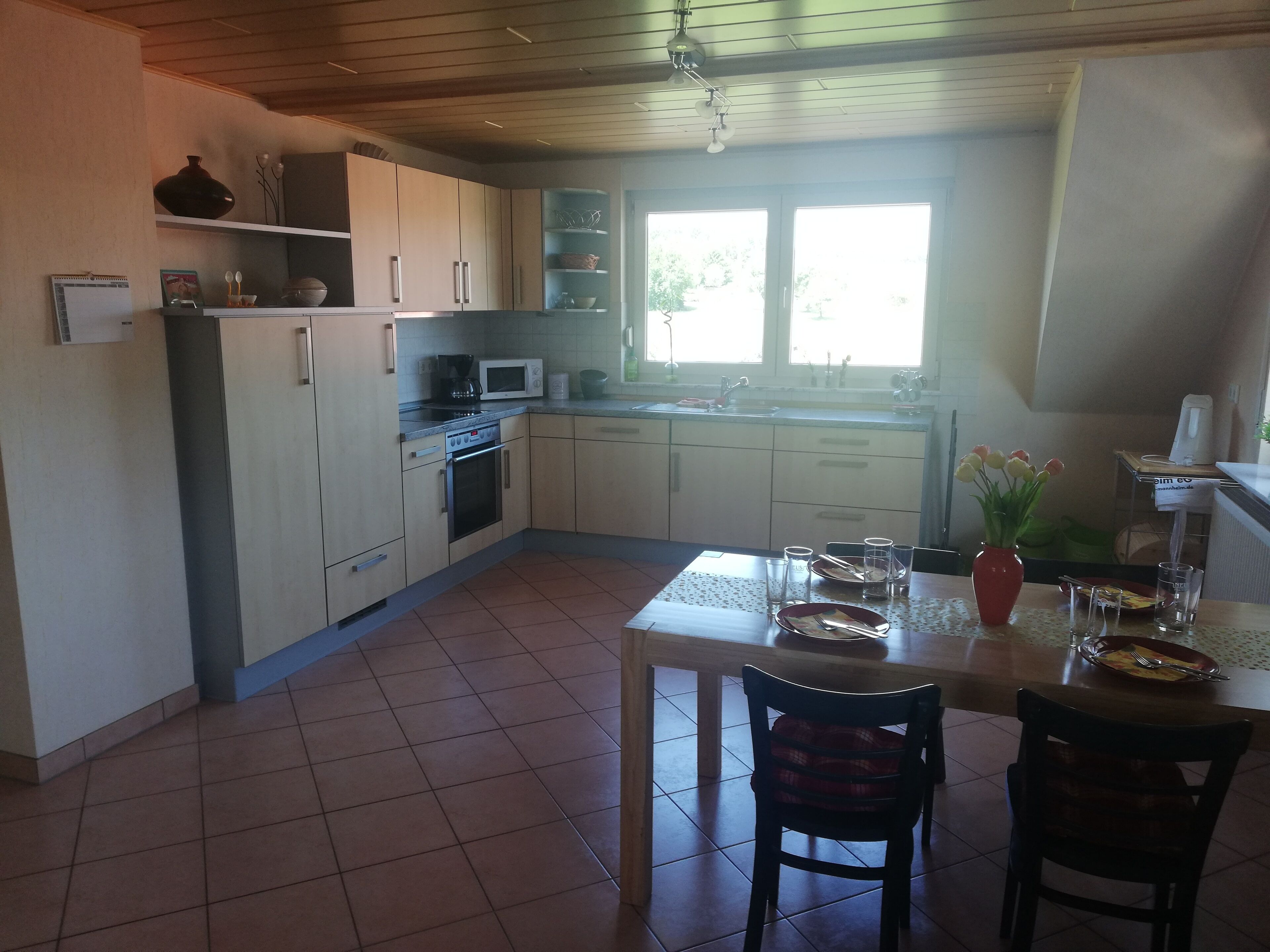 Kühlschrank, Mikrowelle, Herdplatte, Geschirrspüler