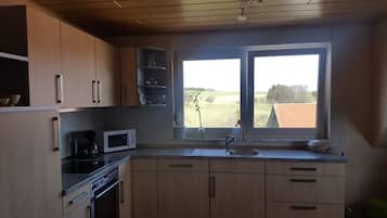 Kühlschrank, Mikrowelle, Herdplatte, Geschirrspüler