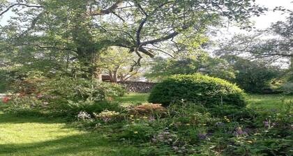 Ferienwohnung "Anna" - neue Ferienwohnung mit Blick ins Grüne