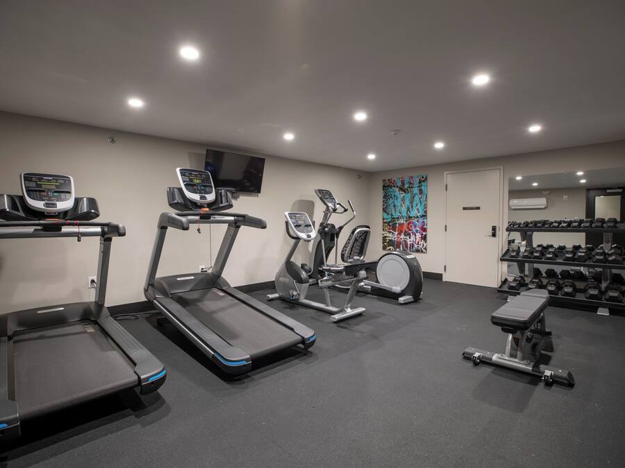 Ein Fitnessraum mit Laufbändern, Crosstrainern, Kurzhanteln und einer Trainingsbank.