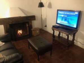 TV, fireplace, books