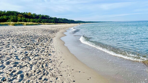 Une plage parsemée d’empreintes, un ciel dégagé et une forêt en arrière-plan.