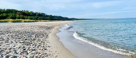 On the beach, sun-loungers