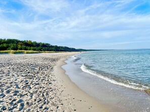 Ein Strand mit Fußspuren, ein klarer Himmel und ein Wald im Hintergrund.