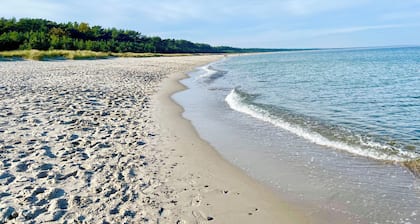 Thatched roof house, 1st row, sea view, fireplace, quiet location, dog - Meerestraum