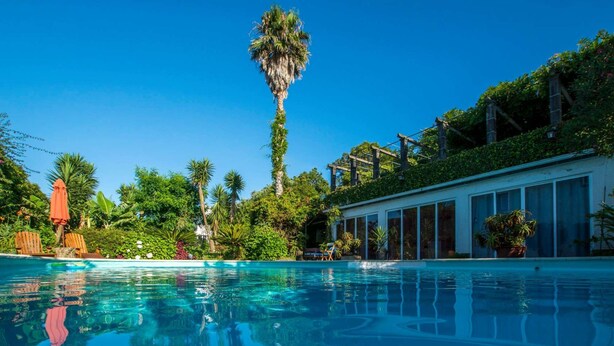A clear blue pool surrounded by lush greenery and tall palm trees, with a modern building adjacent to the pool.