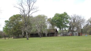 Un champ herbeux avec des arbres et un bâtiment en arrière-plan.