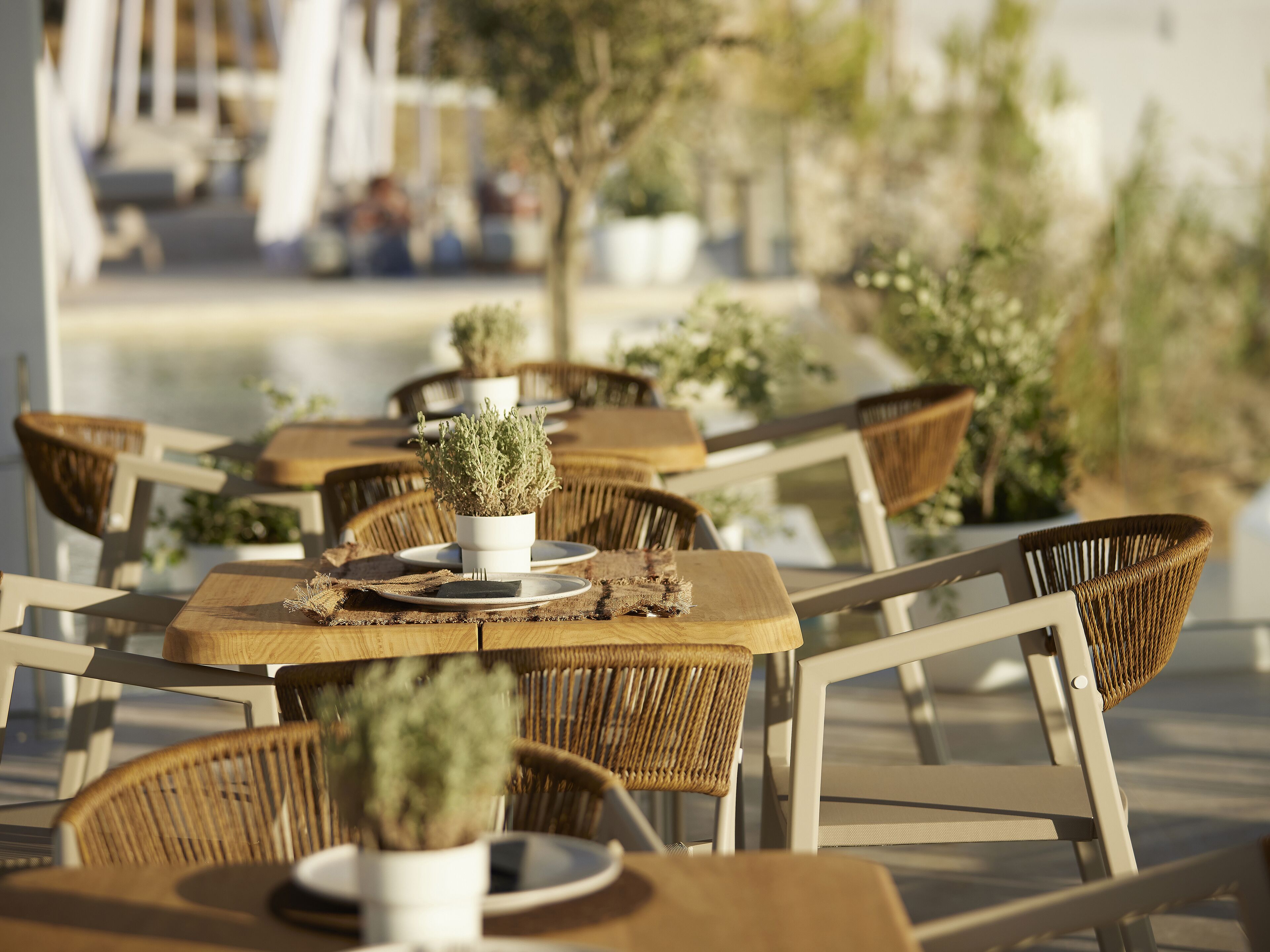 Un espacio de comedor al aire libre con sillas y mesas de mimbre, cada uno decorado con una planta en maceta.