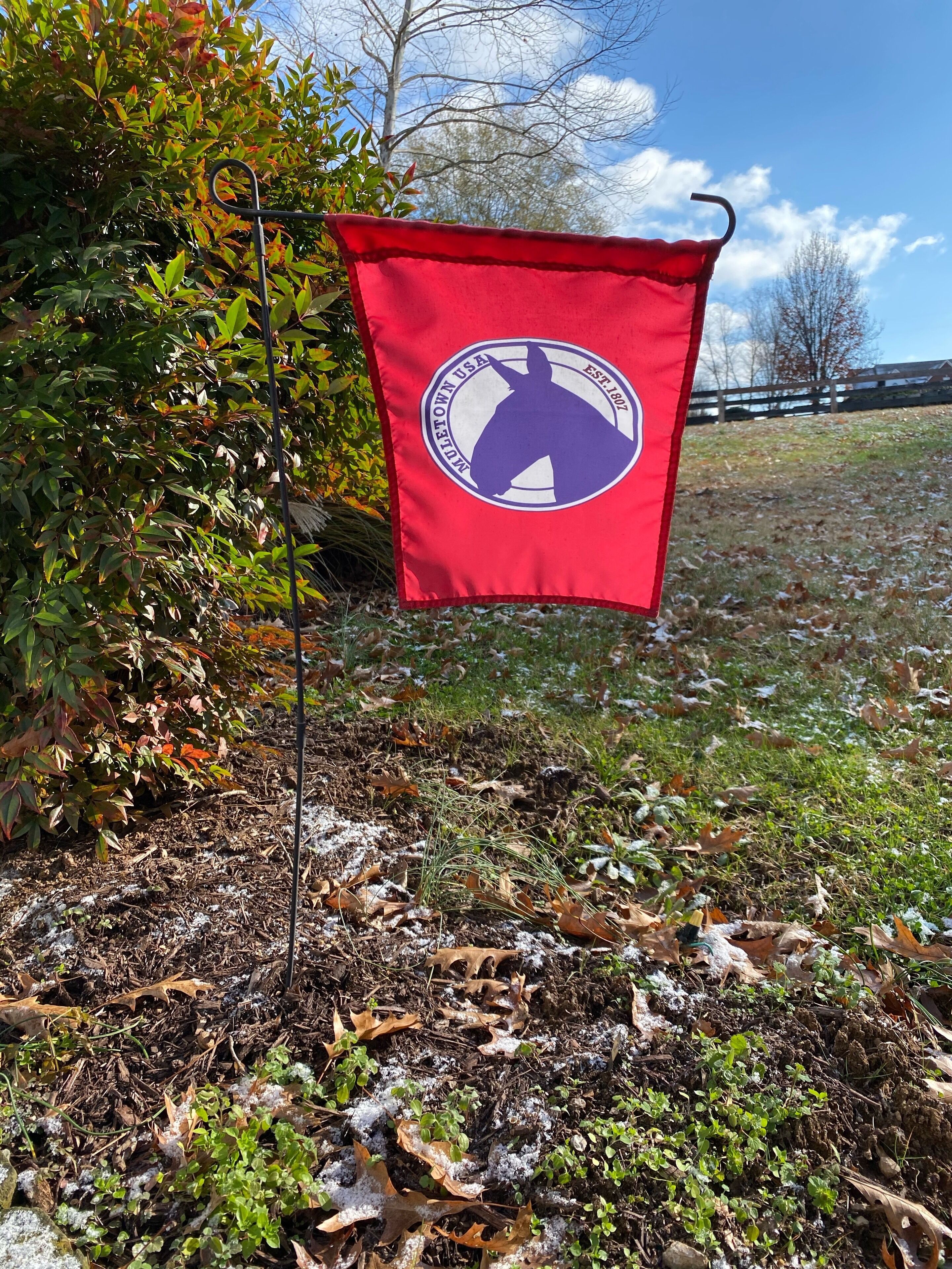 Una bandera roja con un logotipo y texto, colgada de un asta de metal en un área con césped, árboles y hojas caídas.