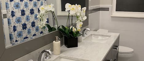 Combined shower/tub, towels, soap, toilet paper