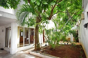 Ein Innenhof mit Baum, Glastür und weißer Wand.