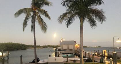 Private Elevated Pool & Deck!