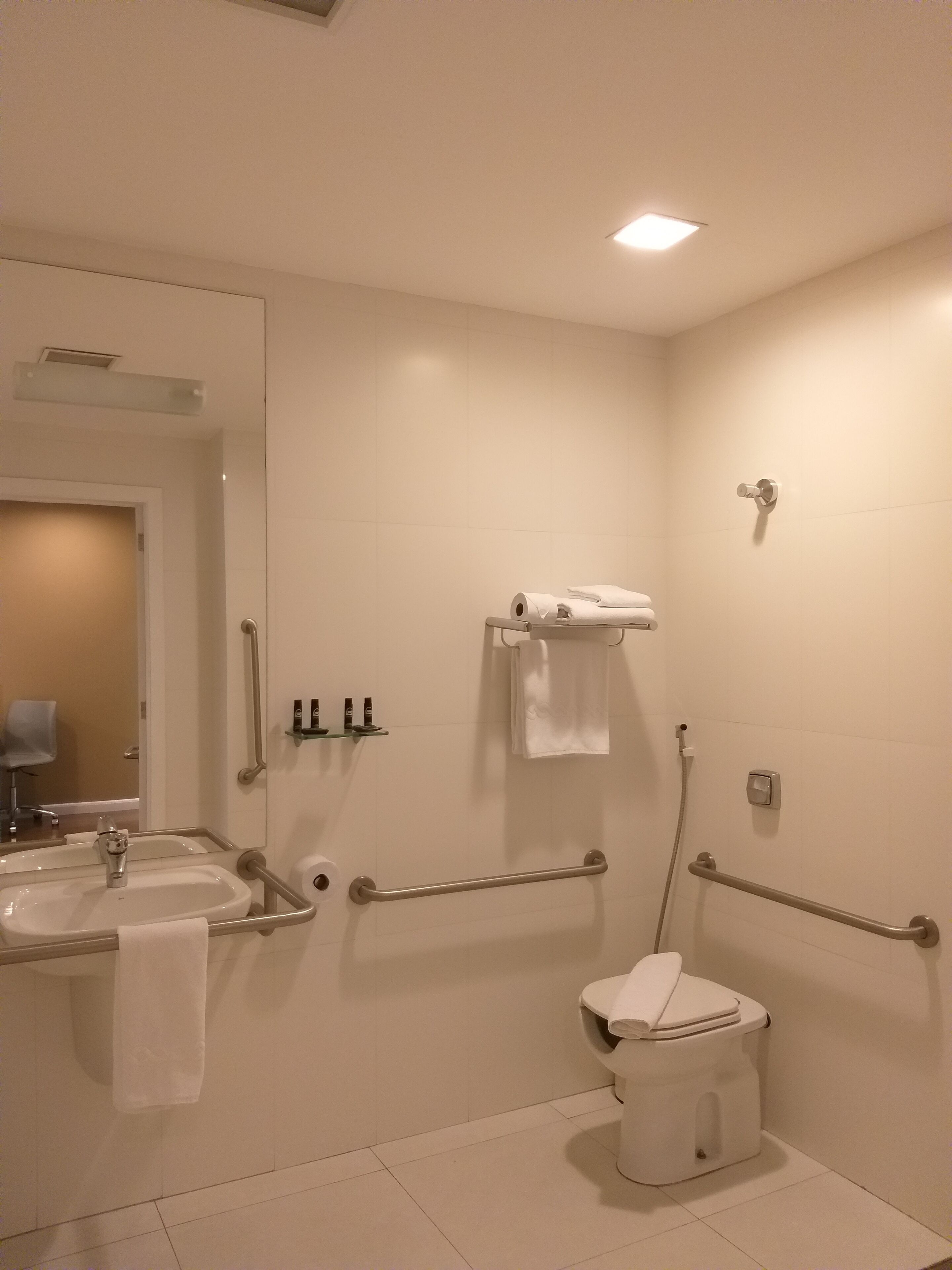 A bathroom with a sink, mirror, toilet, and handrails.