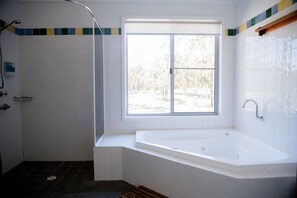 Shower, jetted tub, hair dryer