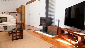 A modern living room with a sofa, a glass coffee table, a wooden bench, a TV, and a wood-burning stove. - Amazing, secluded twenty-five acre property - yet close to everything you need! (Lovedale)