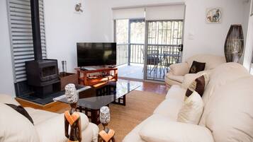 Télévision, cheminée