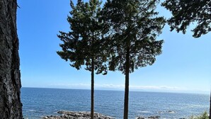 A coastal view with a rocky shoreline, trees, and a clear sky.