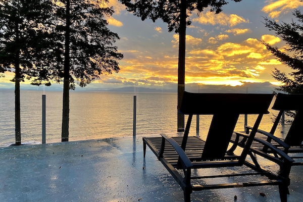 テラス / パティオ