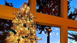 A Christmas tree decorated with lights and ornaments in a room with large windows overlooking a body of water.