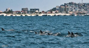 Ubicación cercana a la playa