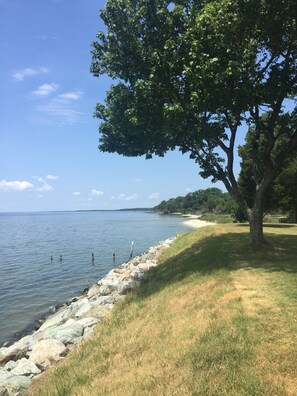 A lakeside view with a grassy area, a large tree, and a rocky shoreline.