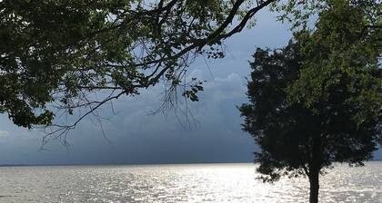 2 Acre Oasis with Private Beach! Family and dog friendly!