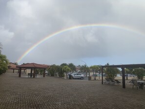 Property grounds - Fantastic 2-bedroom condo a short walk to Eagle Beach (Eagle)