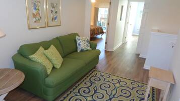 Smart TV, fireplace, DVD player