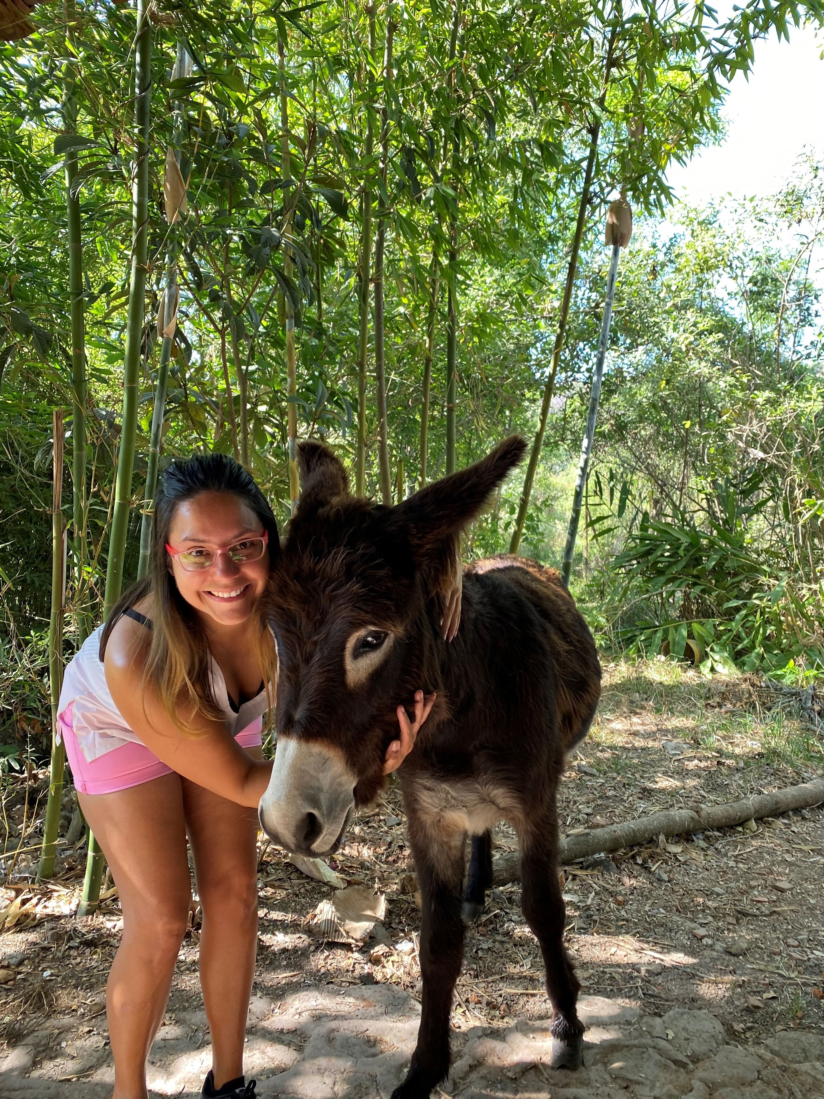 A woman in a pink bikini hugging a donkey in a forested area with bamboo and green foliage.