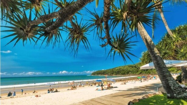 Una playa con palmeras, un paseo marítimo de madera y gente relajándose.