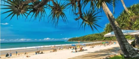 Playa en los alrededores