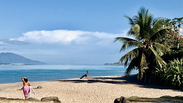 A beach with two people, one sitting and one standing, and a palm tree.