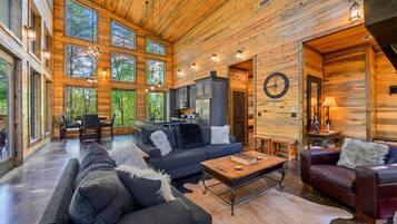 TV, fireplace, video games, music library