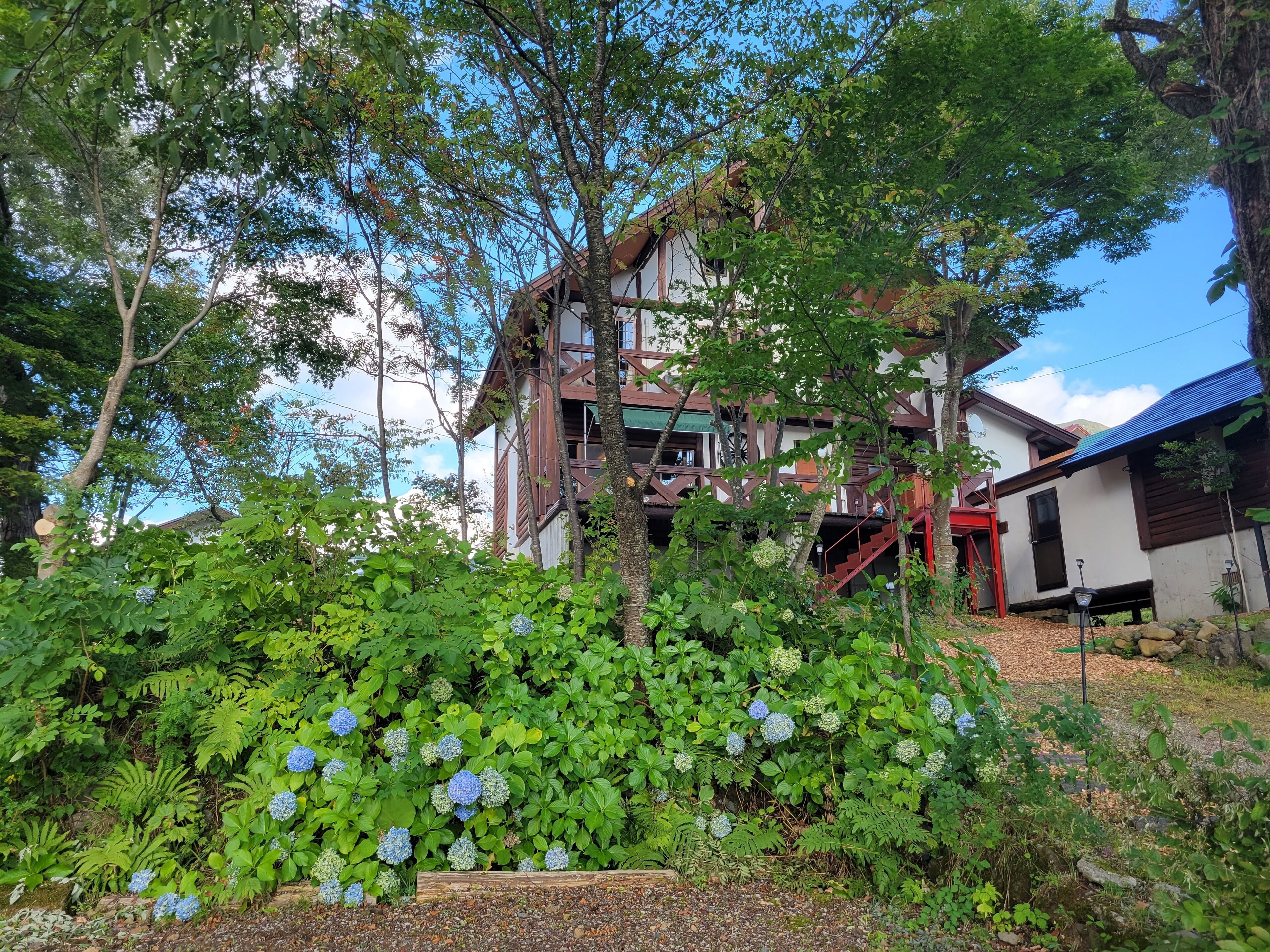 A traditional wooden house with a balcony, surrounded by lush greenery and blue hydrangea flowers.