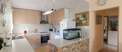 Fridge, oven, stovetop, toaster