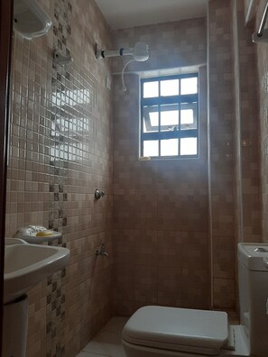 Shower, towels, soap, toilet paper