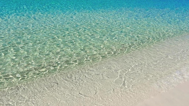 A beach with clear turquoise water and a sandy shore. - Sea Turtle - Luxury 7BR Beachfront Retreat, Private Pool, 5 Star Reviews! (Panama City Beach)