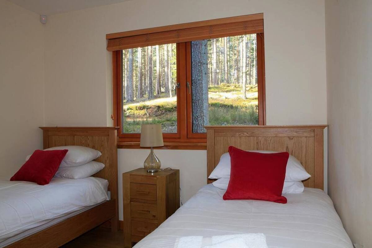 A room with two beds, each with a wooden headboard and red pillows. There is a small wooden nightstand with a lamp between the beds. A large window provides a view of a forested area.