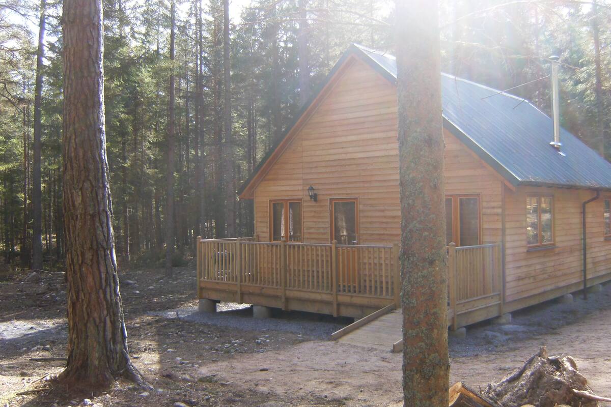 A wooden cabin with a balcony, surrounded by a forest.
