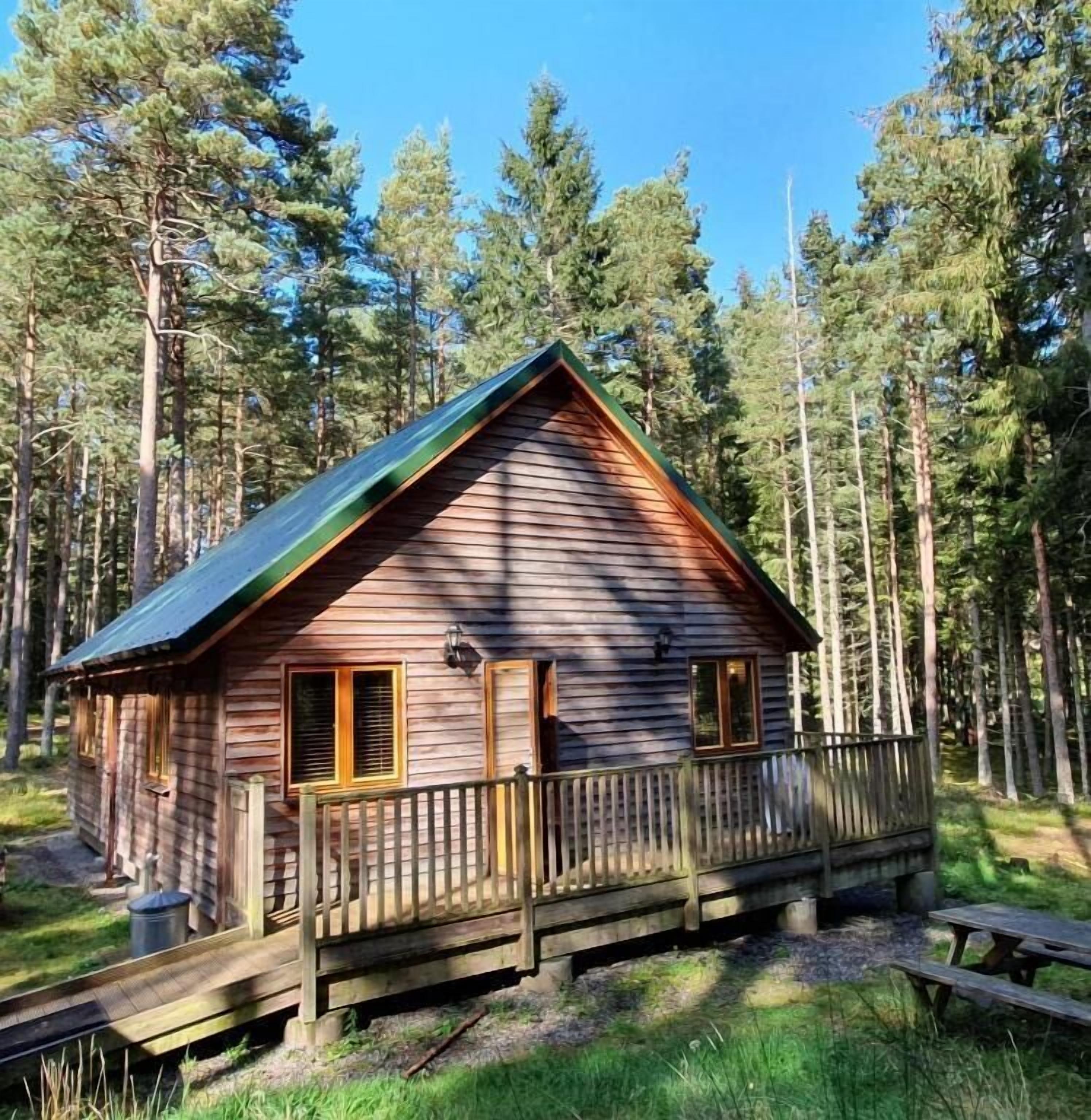A cabin with a wooden exterior, a porch, and a view of a forested area.