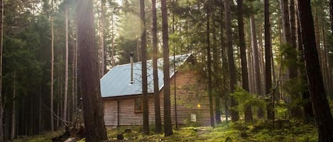 En hytte omgivet af skov med en tydelig sti hen til den.
