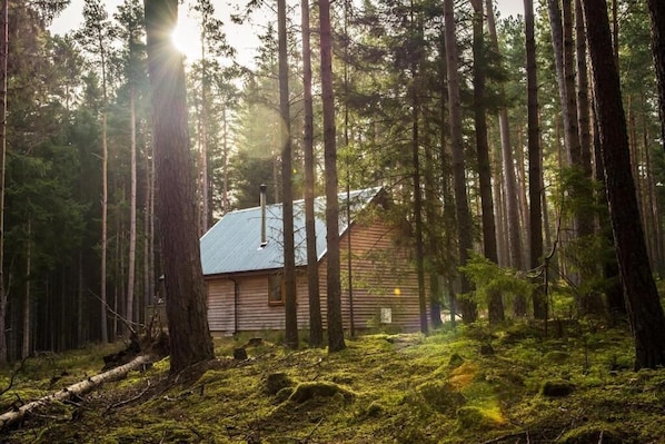 A cabin surrounded by a forest with a clear path leading to it.