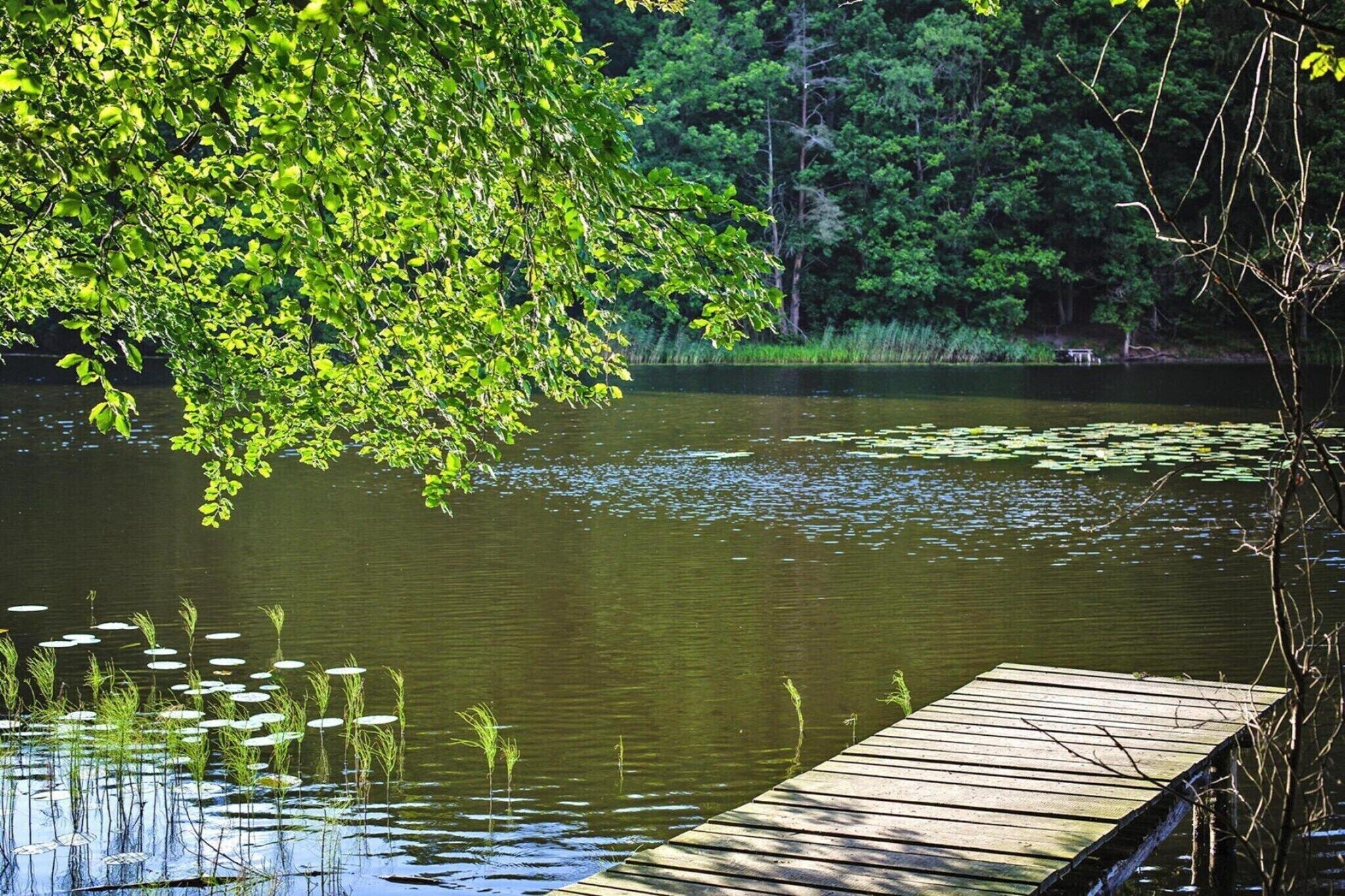 A wooden dock extending into a calm lake surrounded by lush greenery.