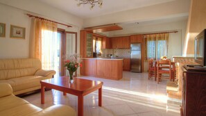 Télévision, cheminée, lecteur de DVD, table de tennis de table