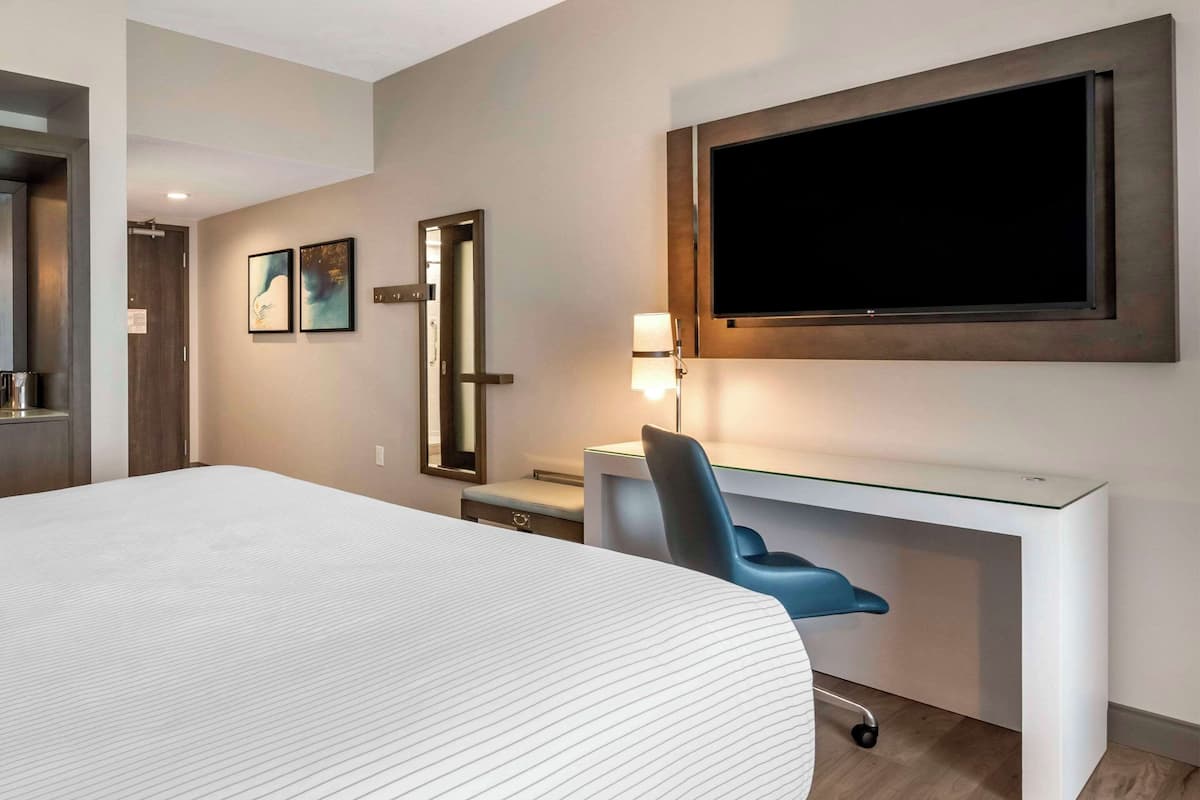 Standard Single Room, 1 King Bed, Non Smoking | Desk, laptop workspace, soundproofing, iron/ironing board