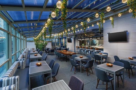 A restaurant with a glass ceiling, tables with blue chairs, and hanging plants.