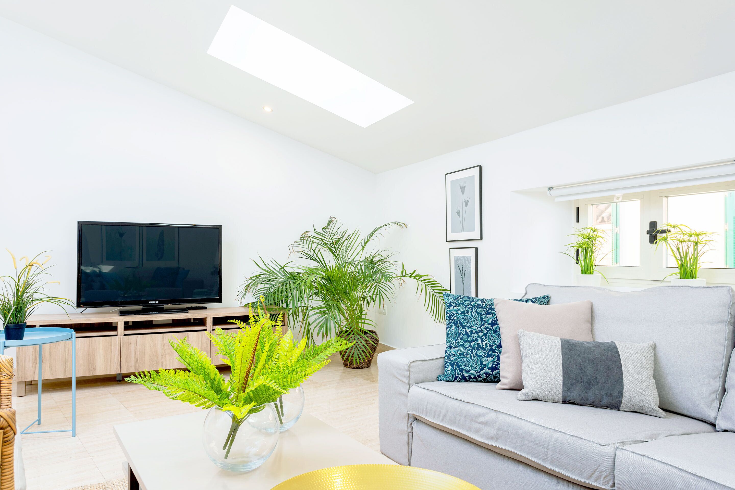 Una sala de estar moderna con un televisor de pantalla plana, un sofá con cojines estampados y varias plantas en macetas.